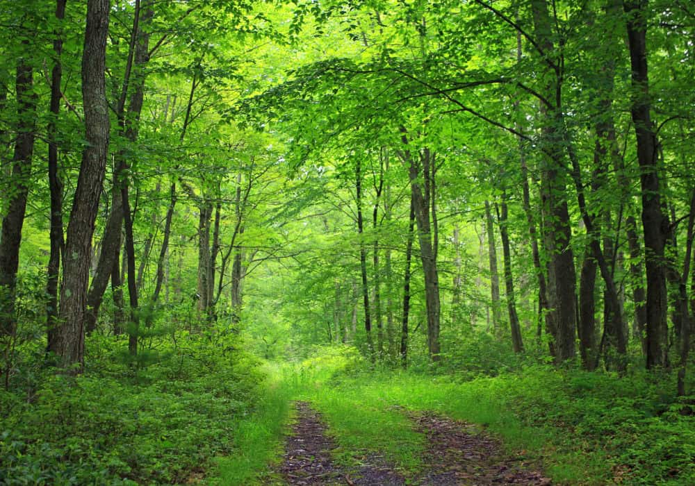 Day Hikes of the Susquehanna Greenway - Explore Trails