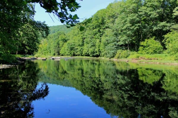 Bucktail State Park Natural Area - Susquehanna Greenway