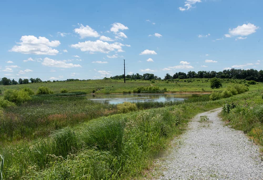 Chestnut Grove Natural Area - Susquehanna Greenway