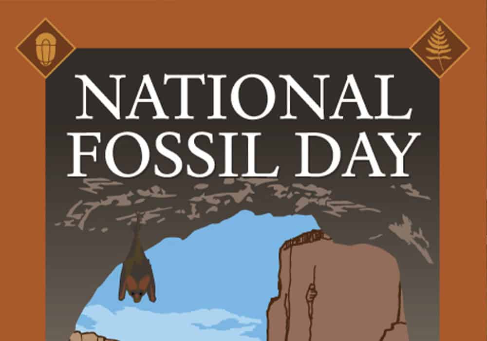 National Fossil Day 2019! - Susquehanna Greenway Partnership