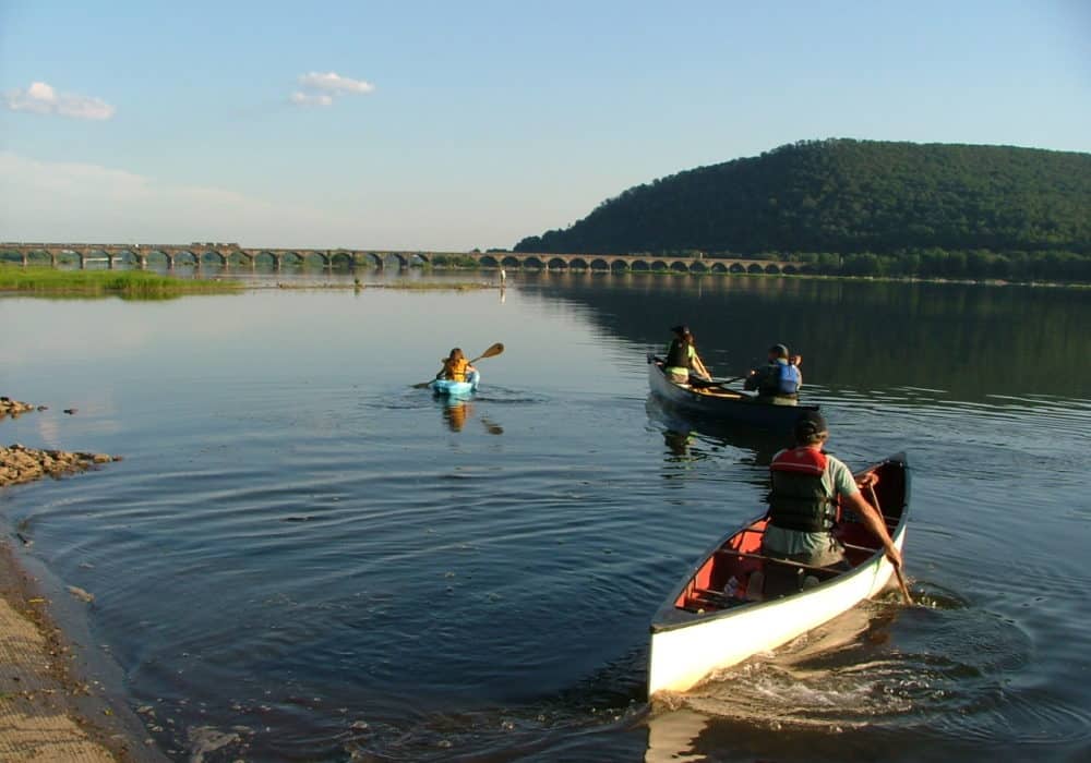 people canoeing on a river