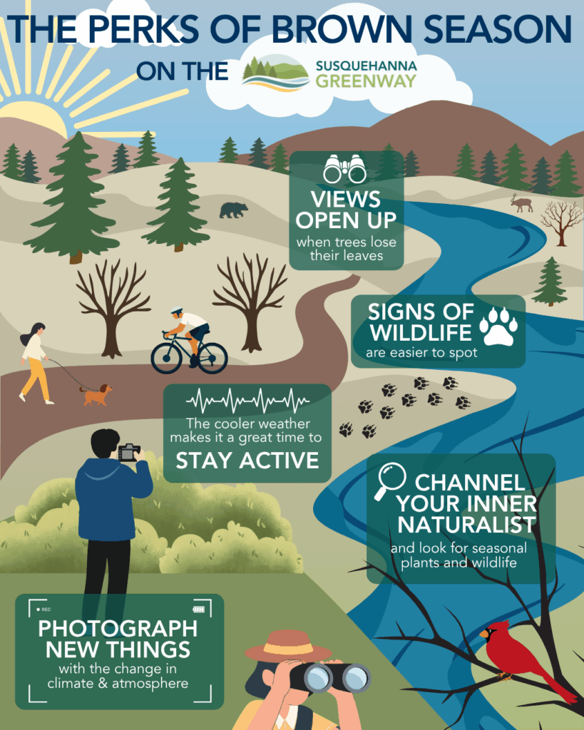 infographic showing the perks of brown season