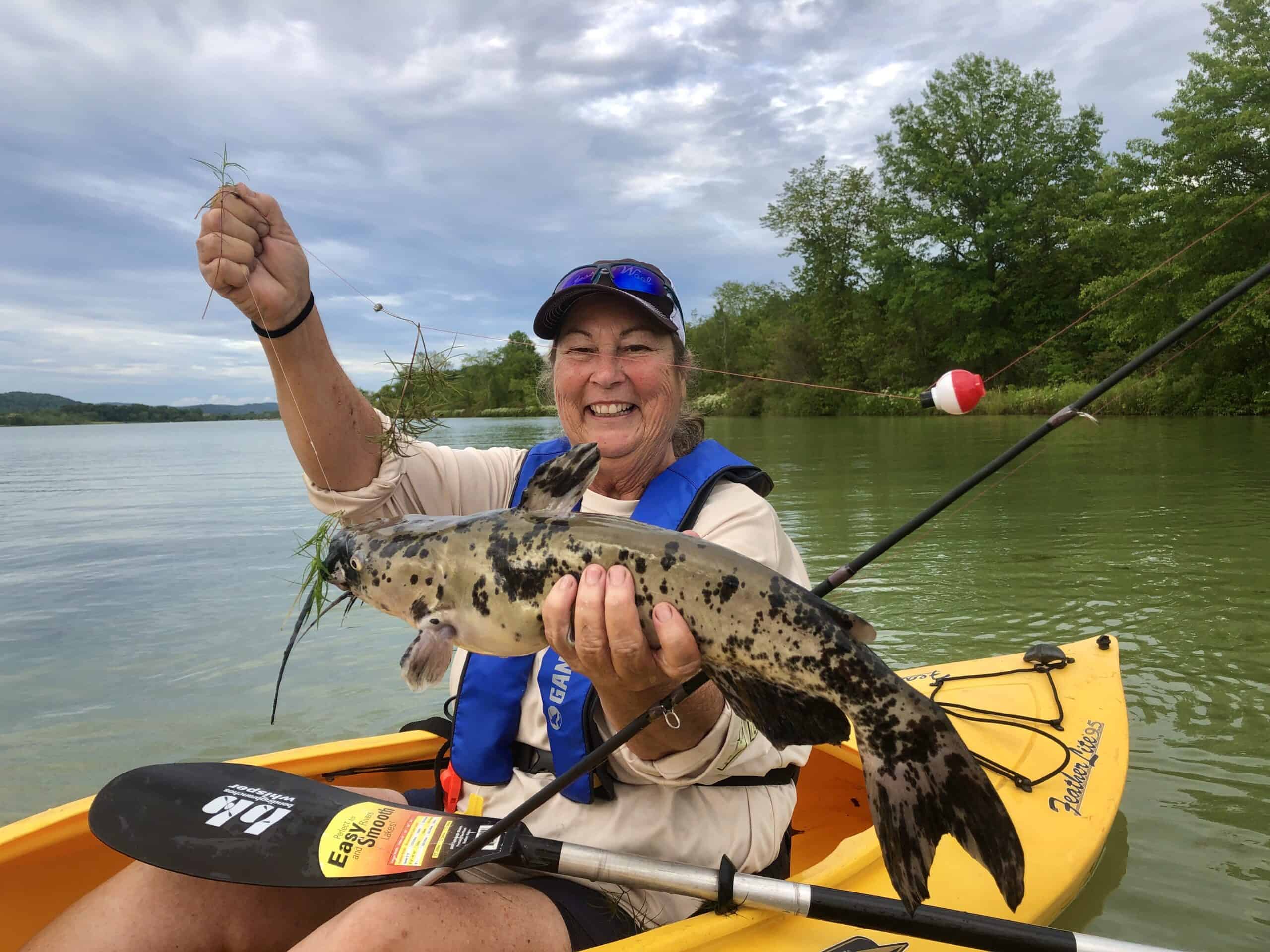 Kayaks + catfish = Great June fishing