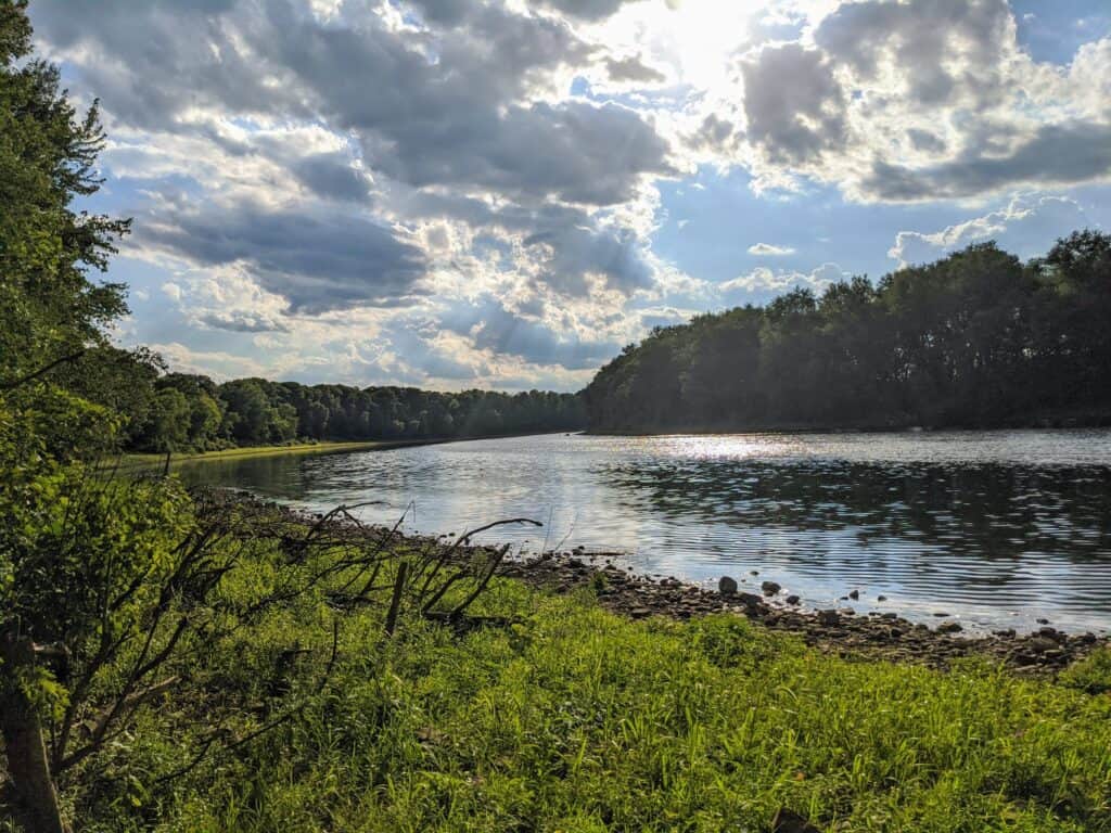 river and shoreline