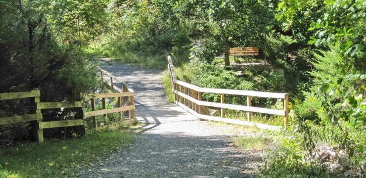 bridge and trees with path