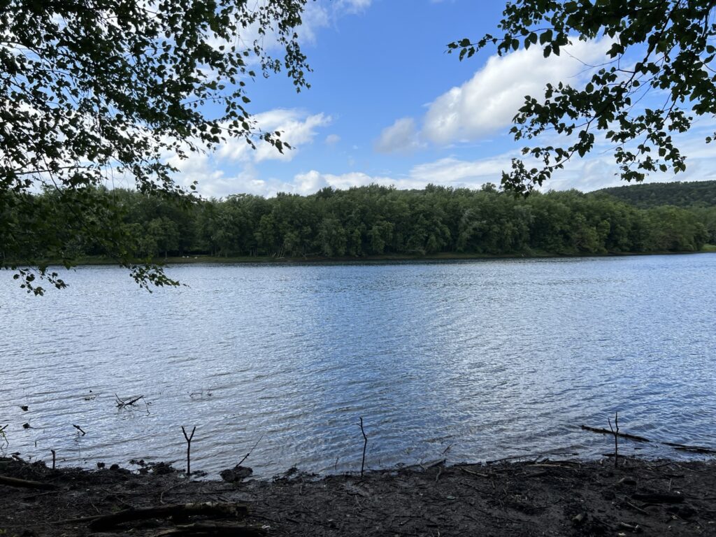 The Susquehanna River is viewed through some trees at the Lock Haven Memorial Park Access.