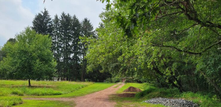 Detweiler Park trail photo