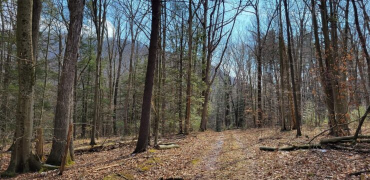 Photo of Williamsport Water Authority Trail